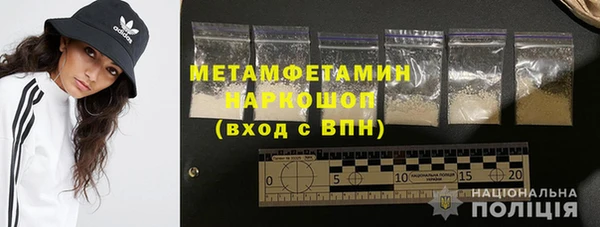 прущие грибы Новодвинск