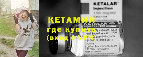 прущие грибы Новодвинск