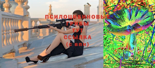 прущие грибы Новодвинск