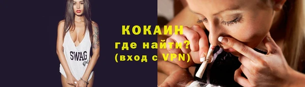прущие грибы Новодвинск