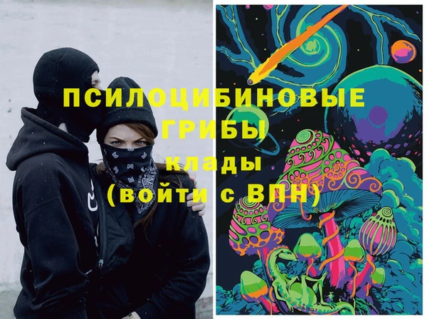 прущие грибы Новодвинск