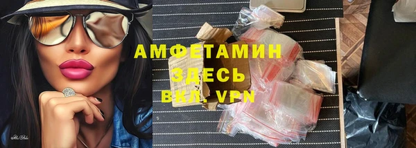 прущие грибы Новодвинск